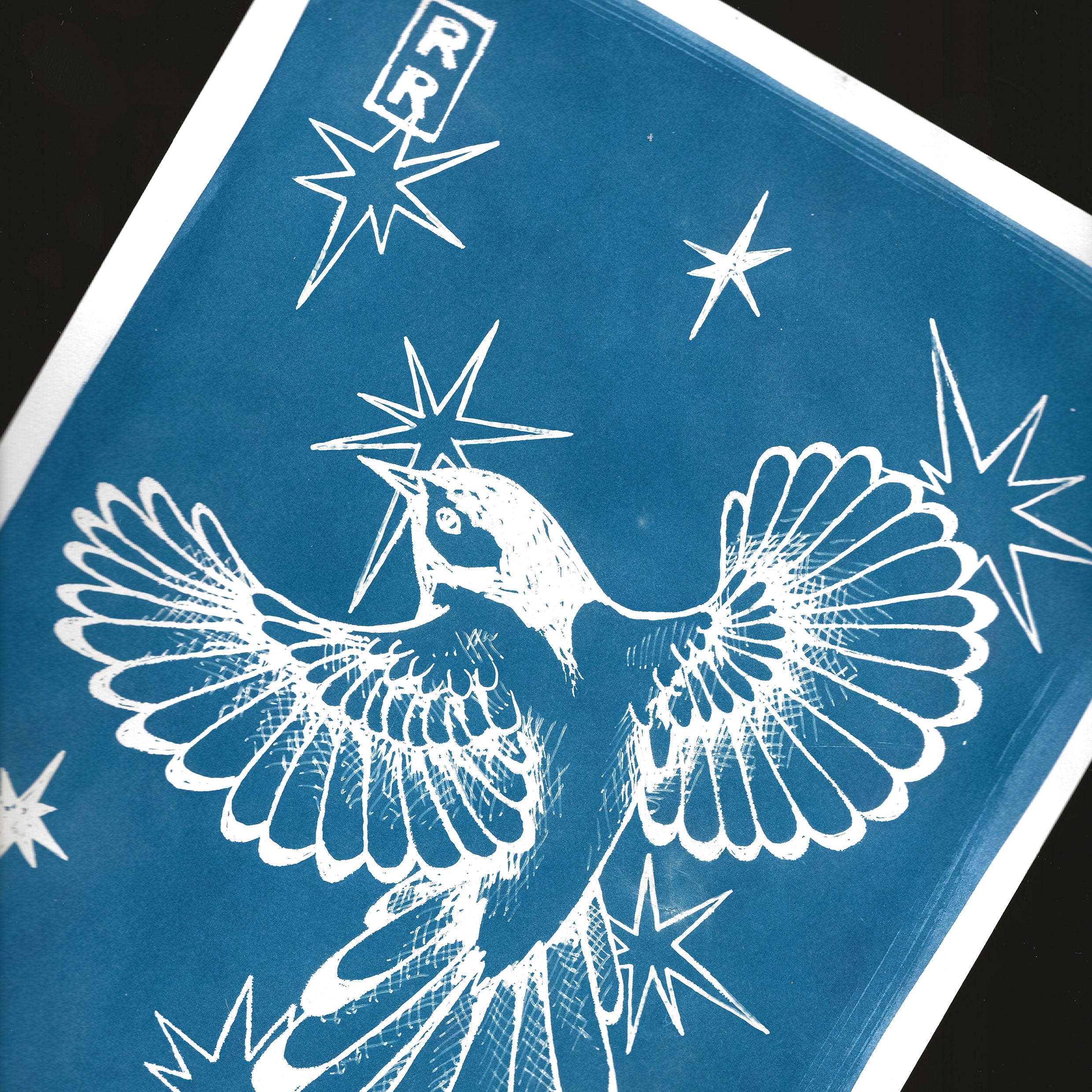 cyanotype d'un oiseau en vol 2eme