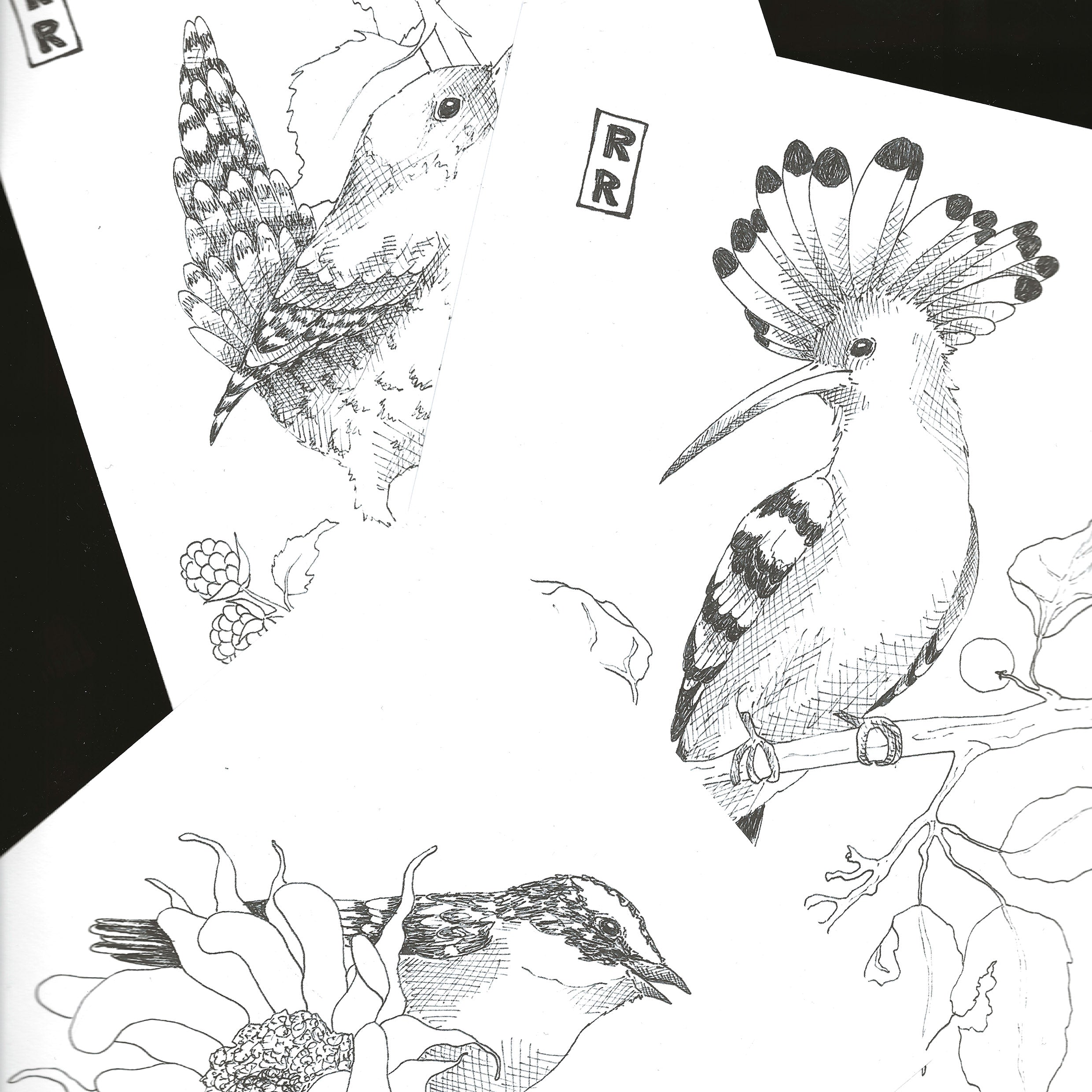 3 dessin noir et blanc 