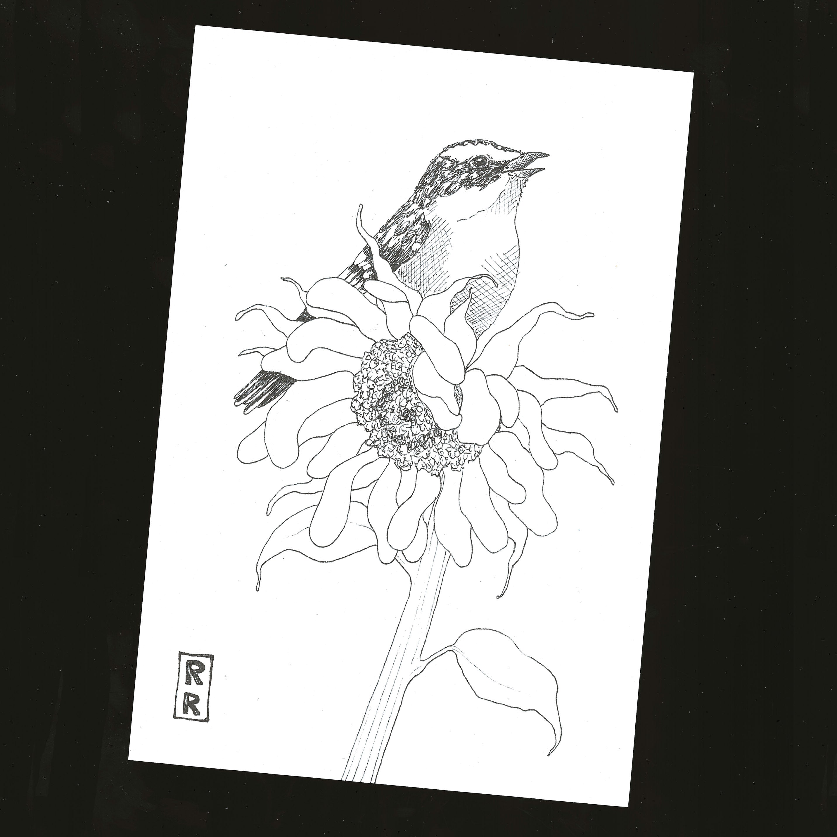 dessin noir et blanc Tournesol