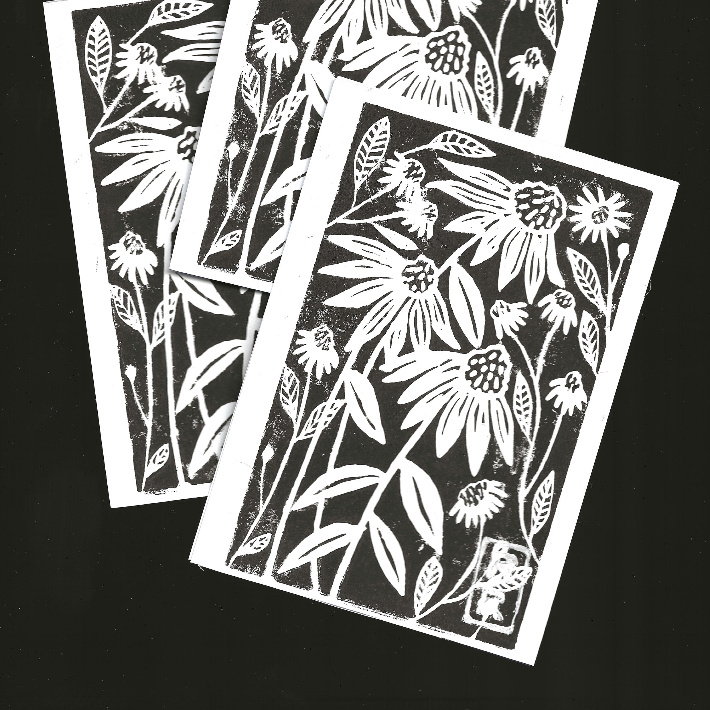 illustration marguerite imprimé en noir sur fond blanc