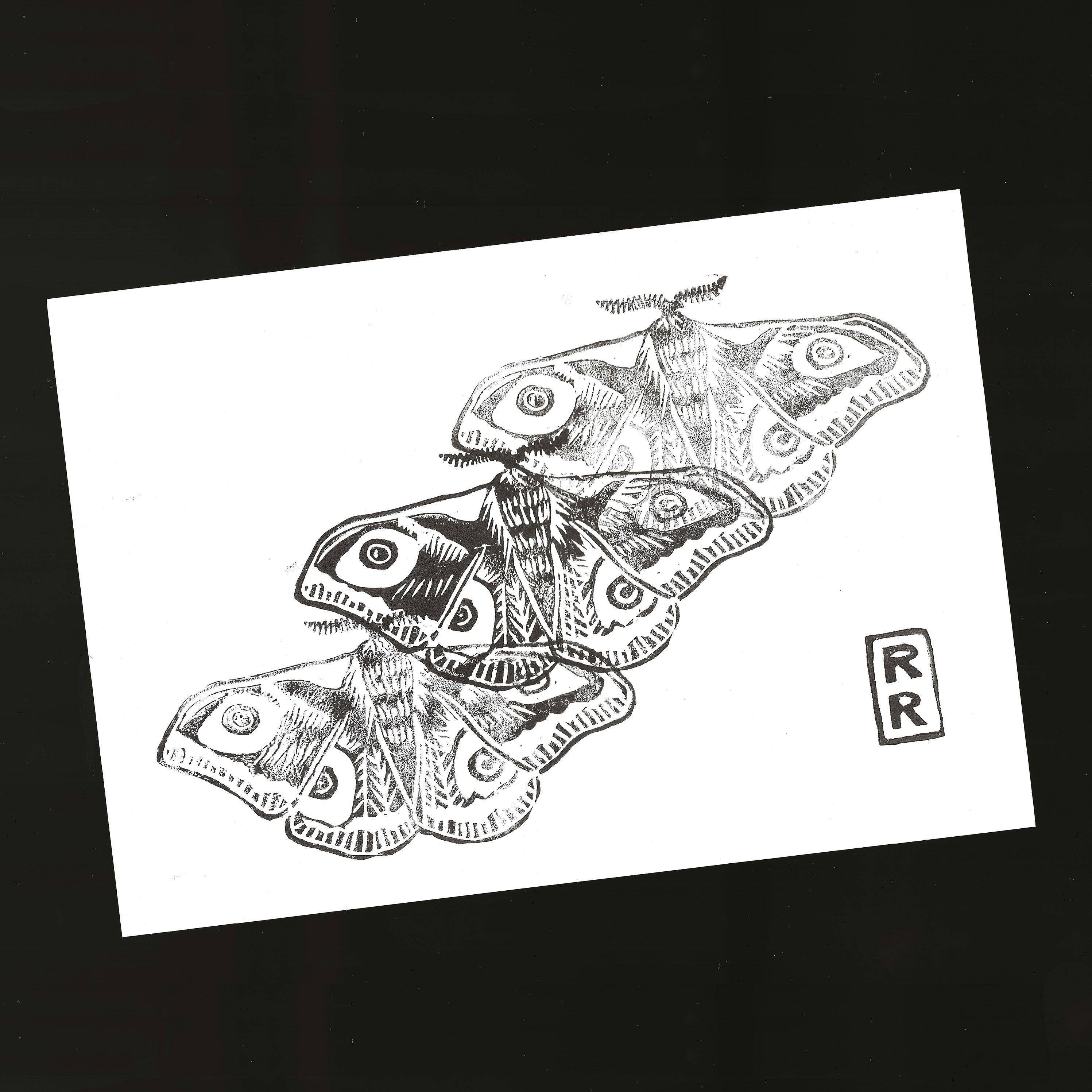 illustration papillon imprimé en noir sur fond blanc