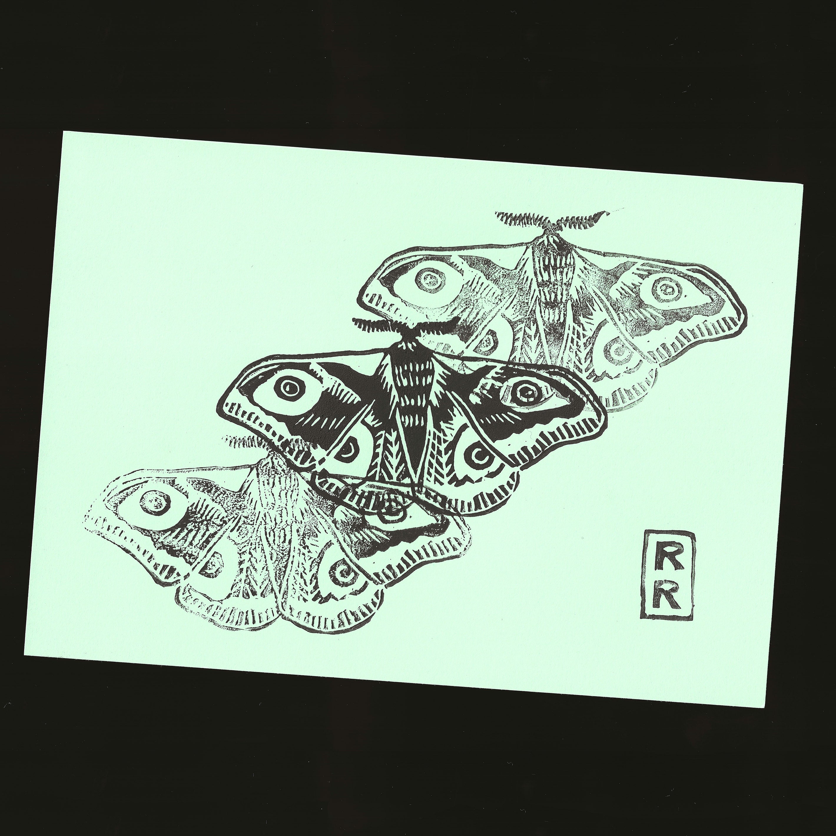 illustration papillon imprimé en noir sur fond vert