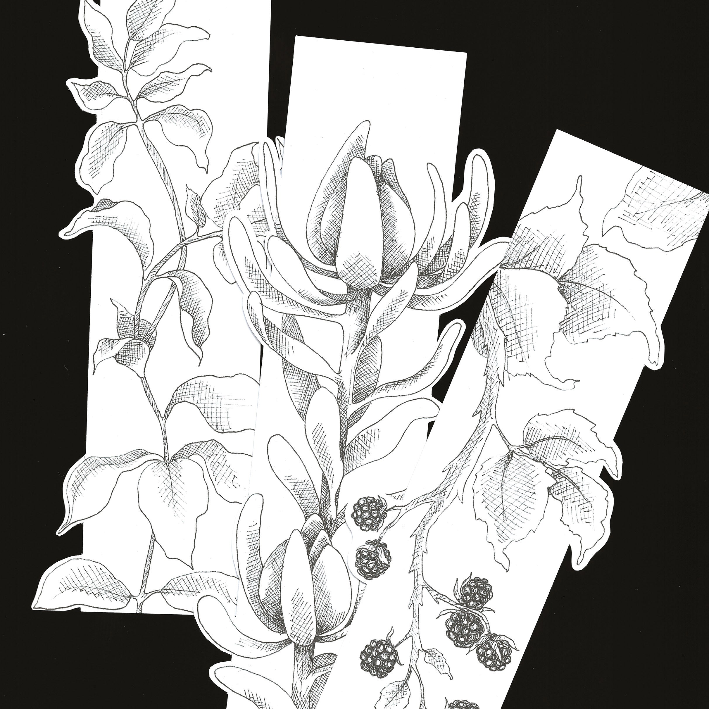 marque page dessiné noir et blanc