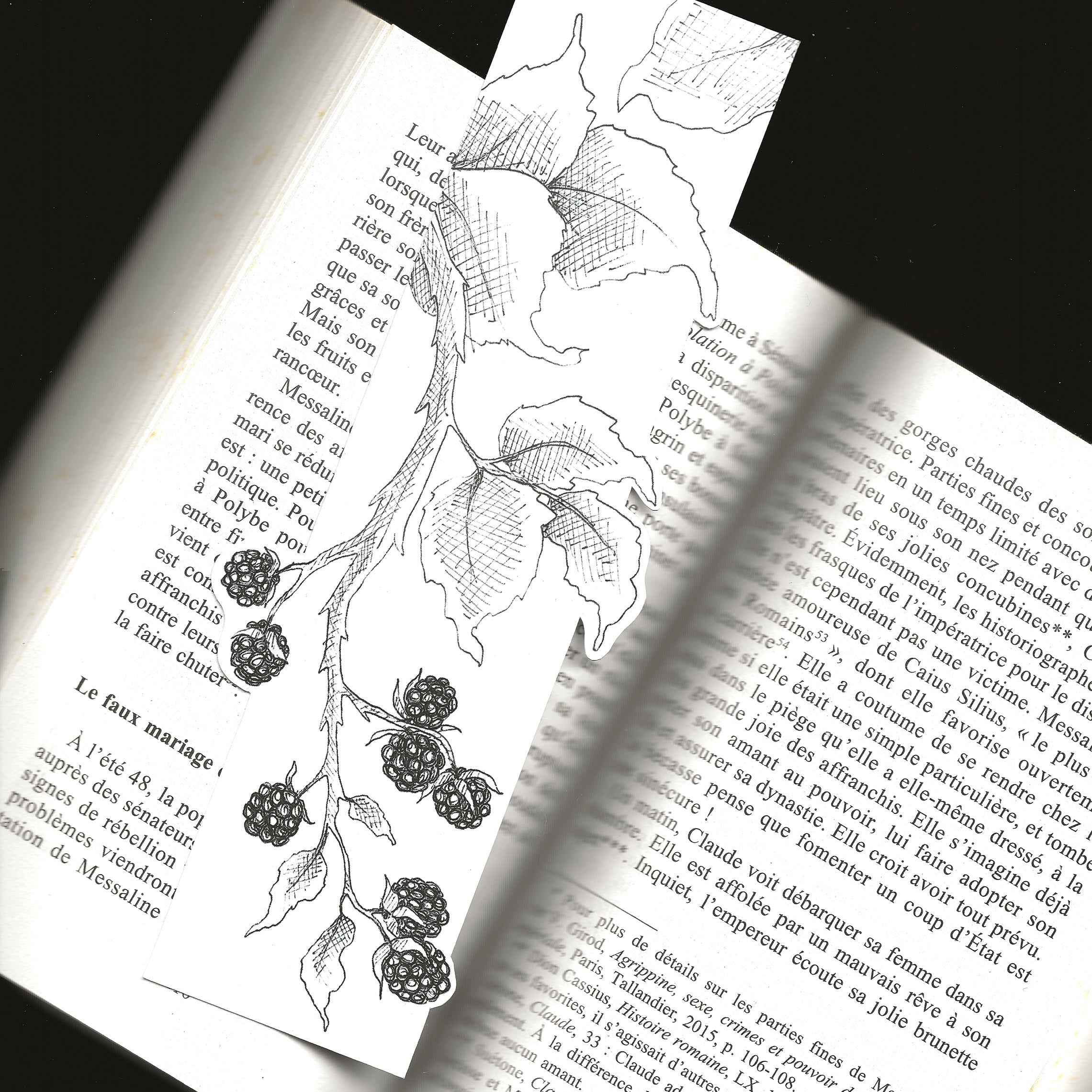 marque page mure dessiné noir et blanc