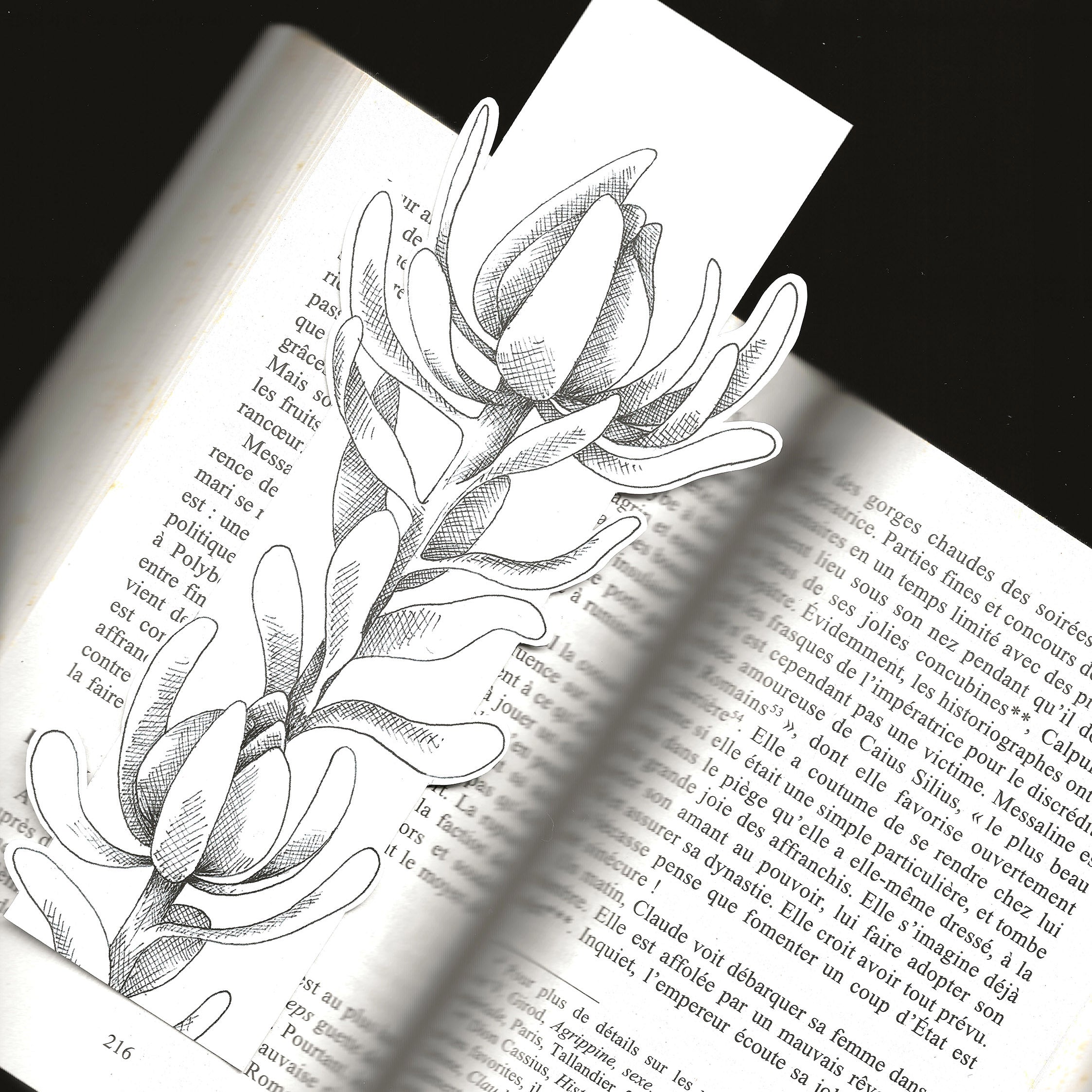 marque page succulente dessiné noir et blanc